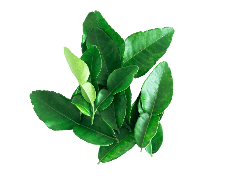 L-Theanine:The calm-focusamino acid found ingreen tea.